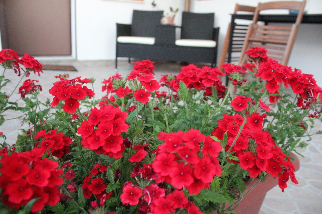 B&B Verzavo Cetraro Dış mekan fotoğraf