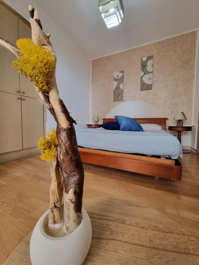 B&B Verzavo Cetraro Dış mekan fotoğraf